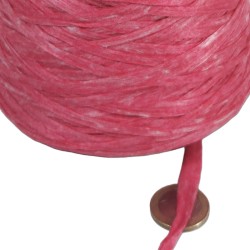 ACUARELA 200 GR. CONO 4098 CORAL